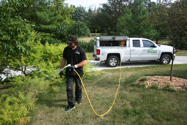 Pest Control in Adams County, WI