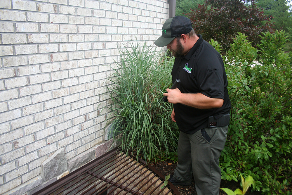 Thorough pest inspections