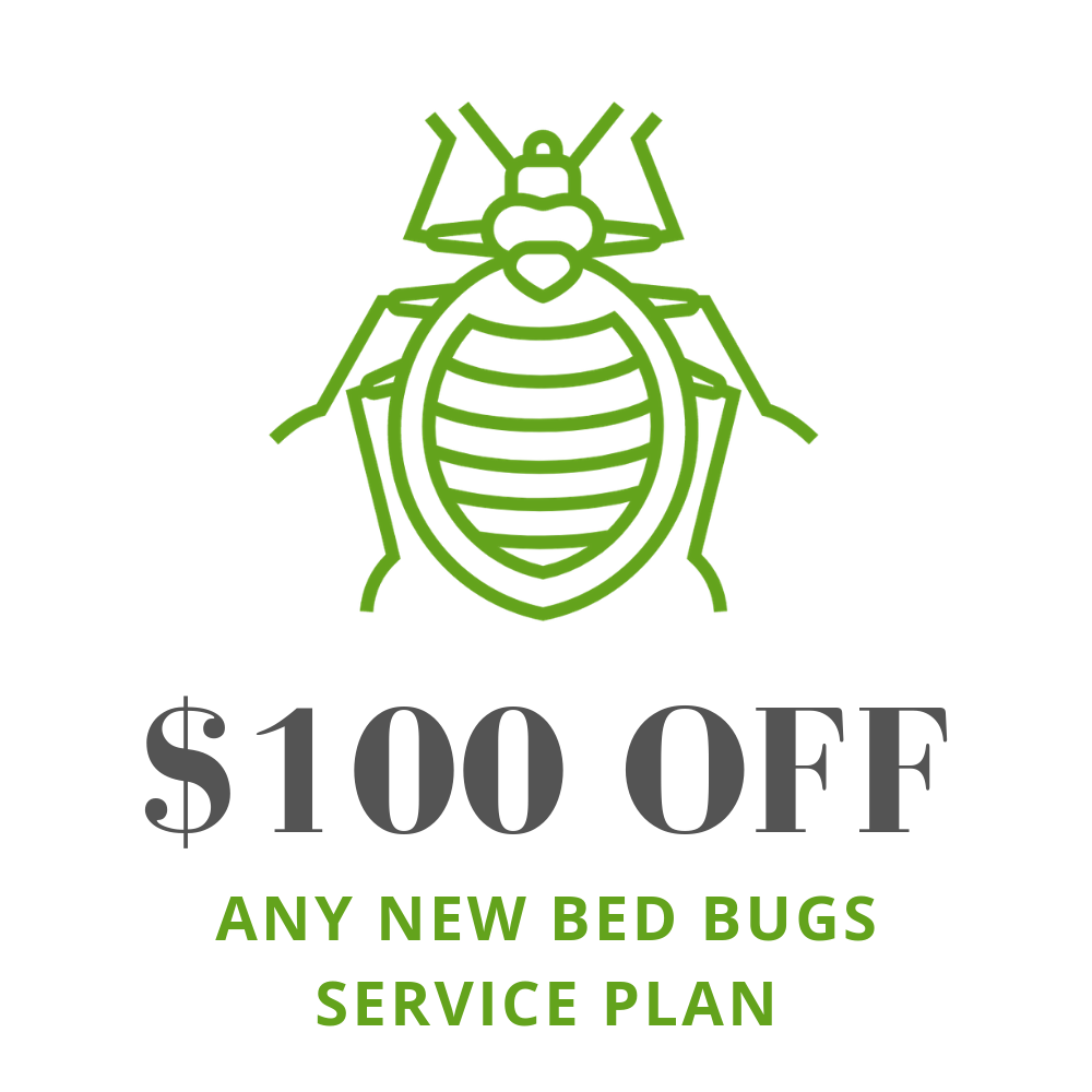 $100 off first bed bug treatment in Racine, WI