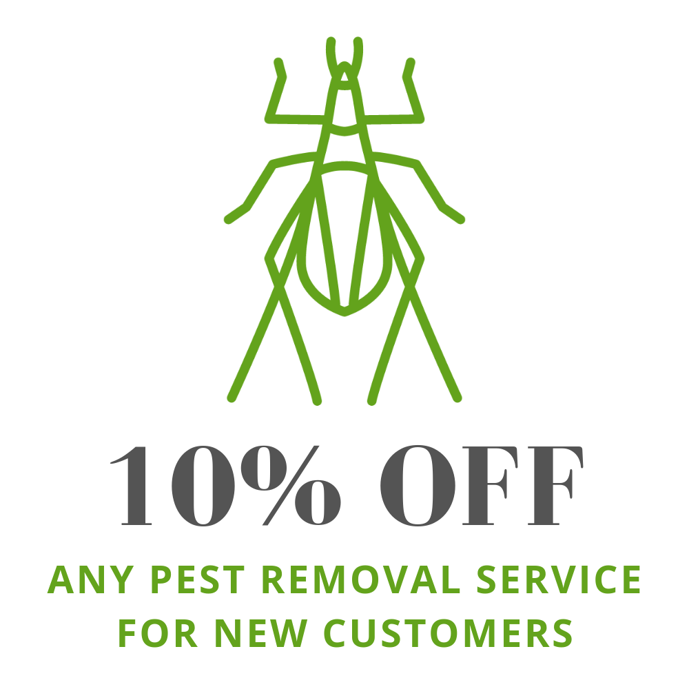 10% off any pest removal service for new customers