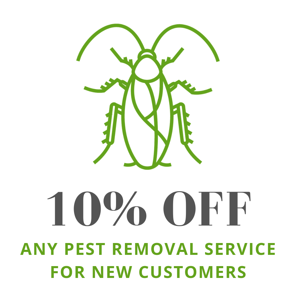 10% off any pest removal service for new customers