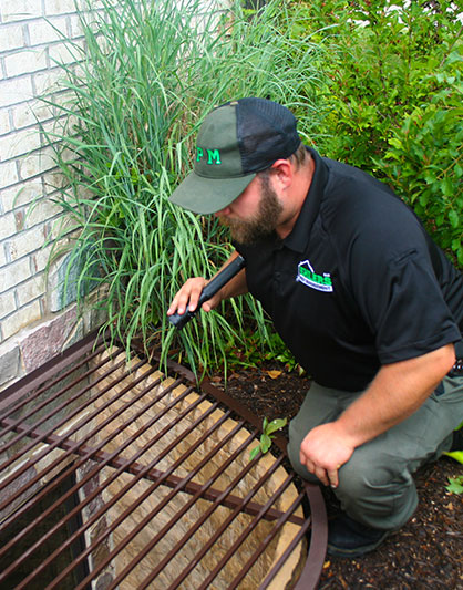 Outdoor pest control services